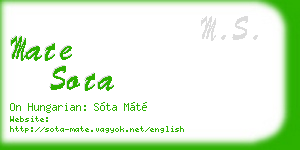 mate sota business card